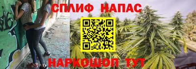 прущие крисы Абинск